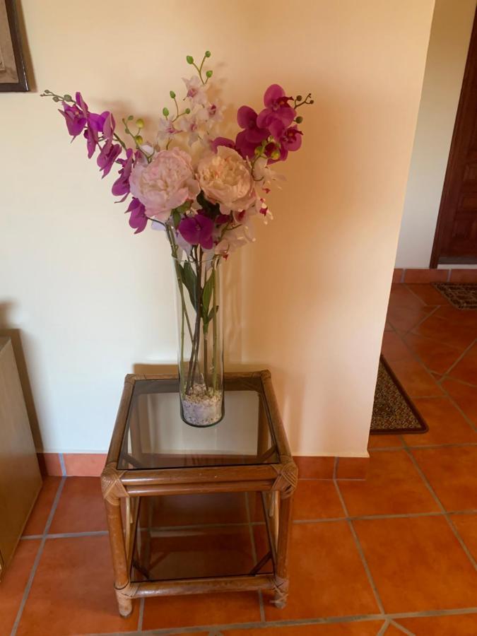 Casa Fraile San Miguel Lejlighed San Miguel de Allende Eksteriør billede